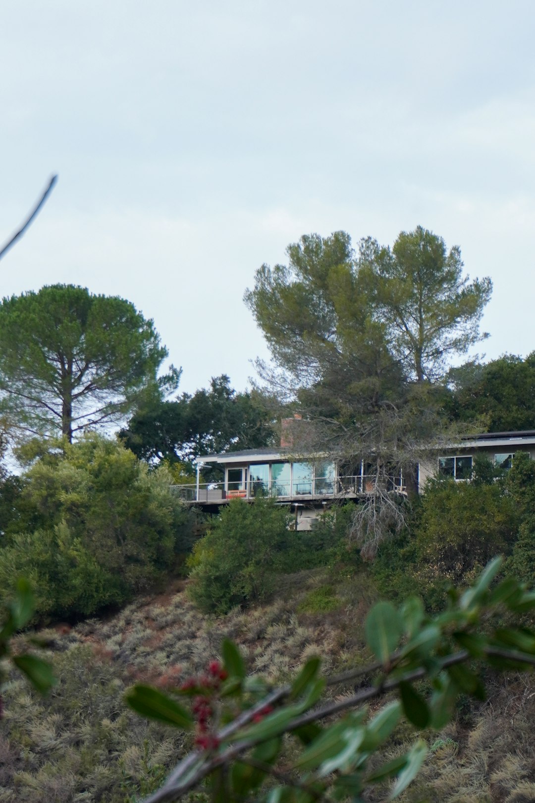 Hillside Villa